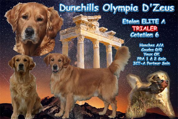TR. dunehills Olympia d'zeus