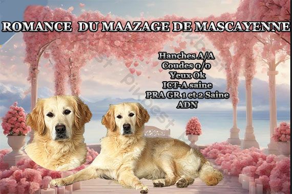 Romance Du mazage de mascayenne