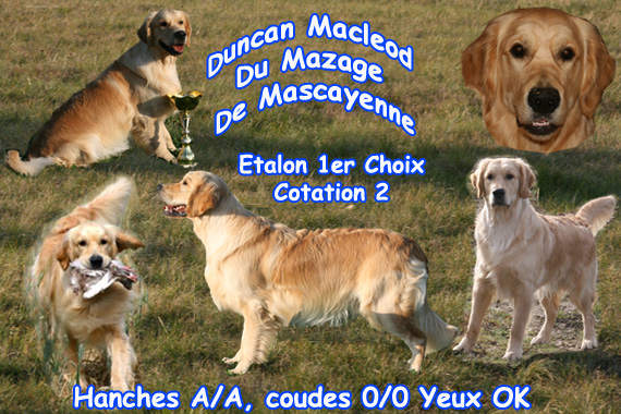 Duncan macleod Du mazage de mascayenne