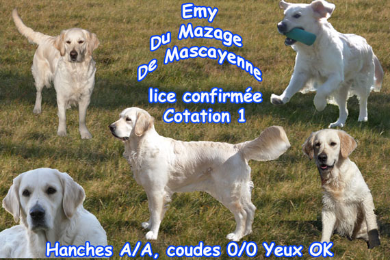 Emy Du mazage de mascayenne