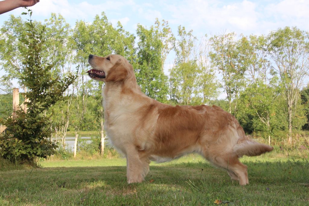 Jennka Du mazage de mascayenne