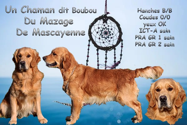 Un chaman Du mazage de mascayenne