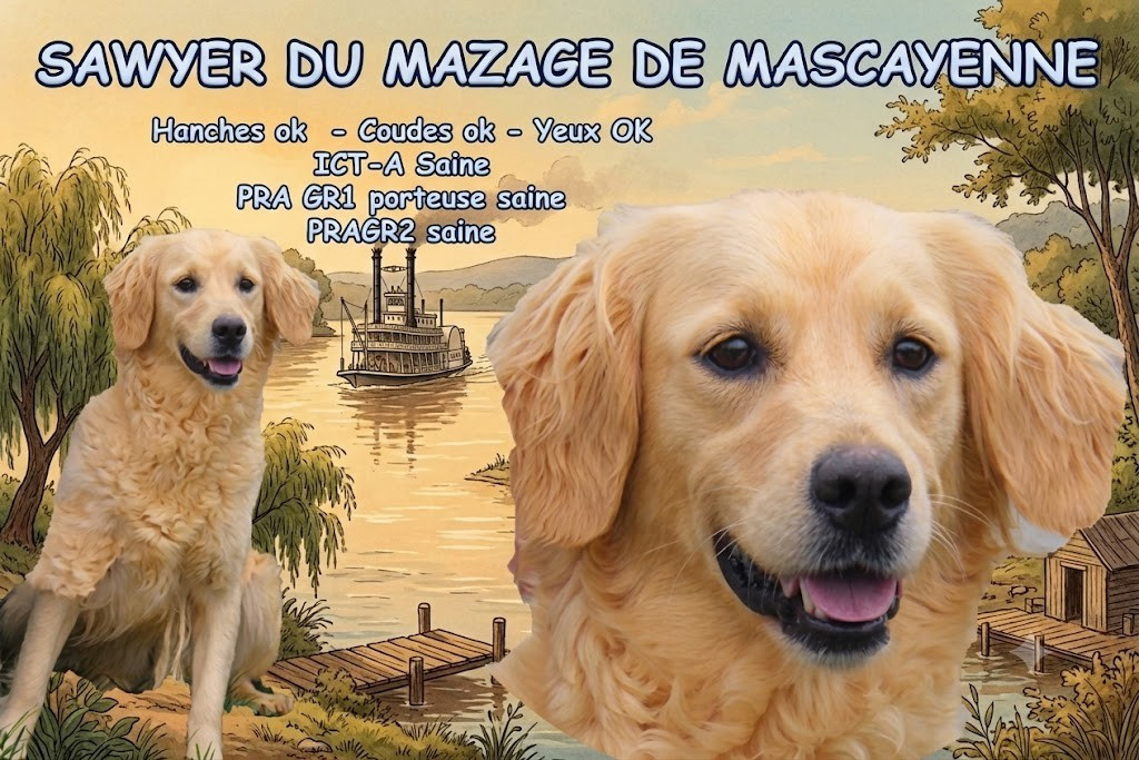 Sawyer Du mazage de mascayenne