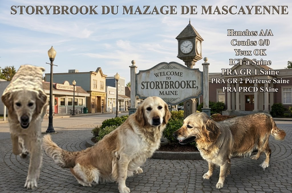 Storybobrook dite brook Du mazage de mascayenne