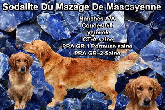 Sodalite Du mazage de mascayenne