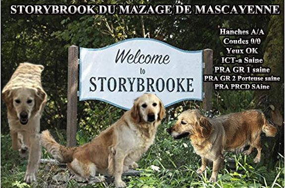 Storybobrook dite brook Du mazage de mascayenne