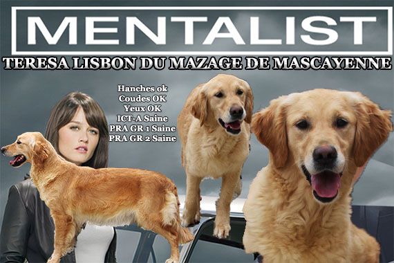 Teresa lisbon Du mazage de mascayenne