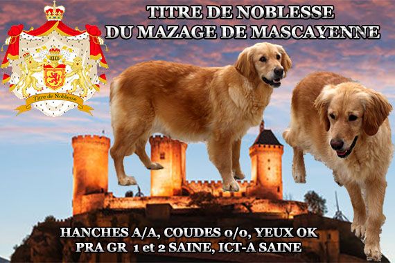 Titre de noblesse Du mazage de mascayenne
