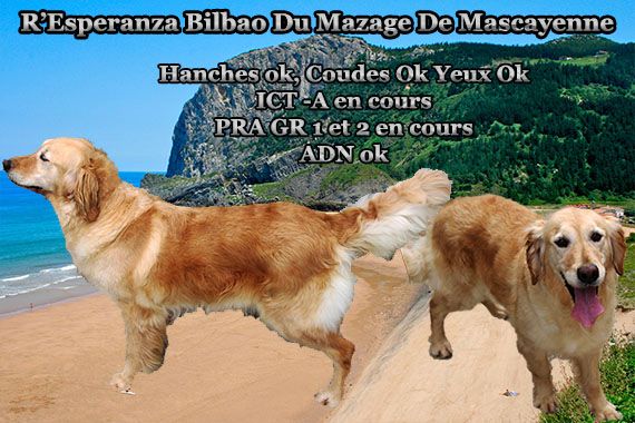 R'esperanza bilbao Du mazage de mascayenne