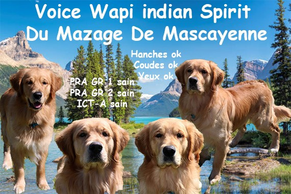 Voice indian Spirit wapi Du mazage de mascayenne